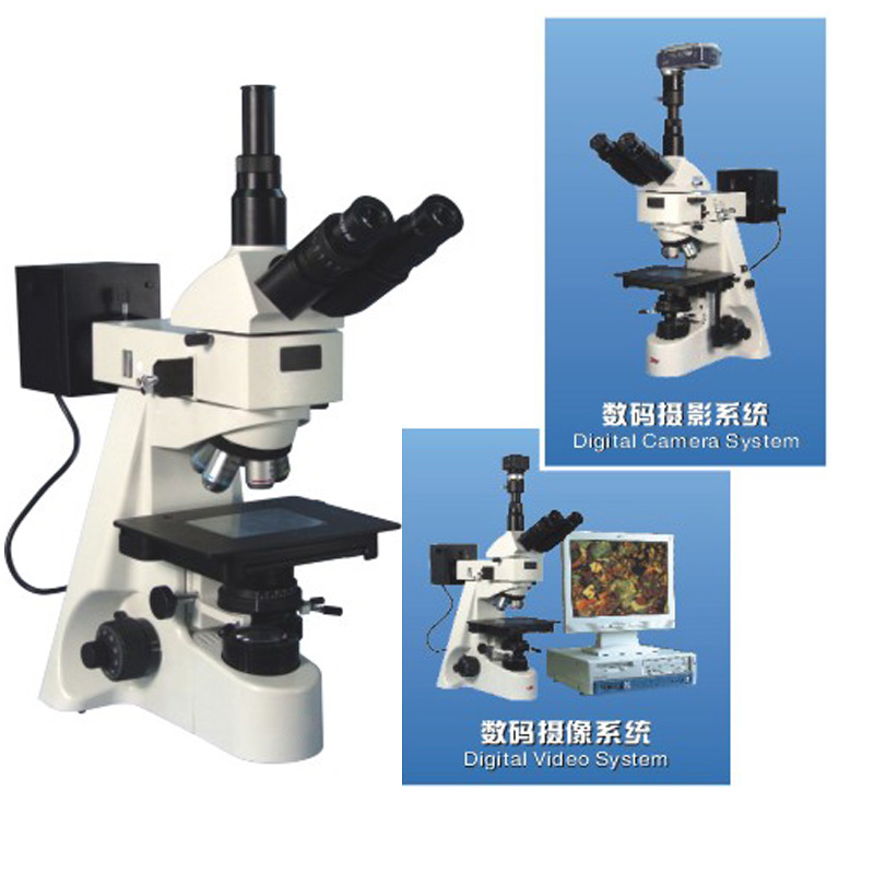 53XB三目正置金相显微镜